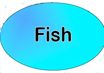 Fish category